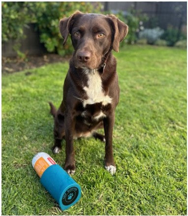 DogRollSaver